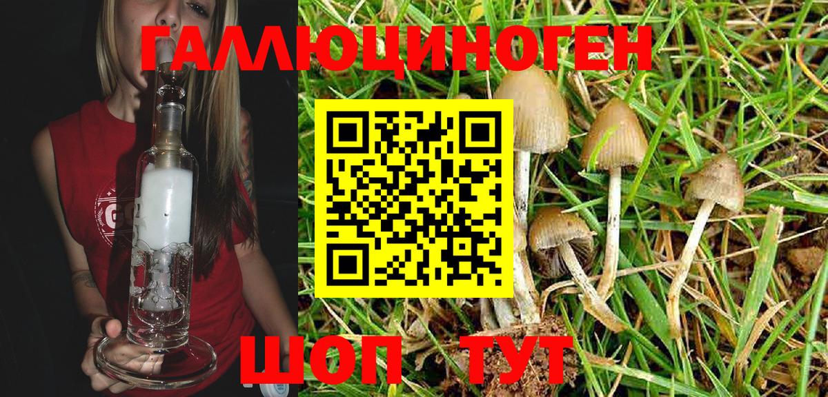 Галлюциногенные грибы Magic Shrooms Новоуральск