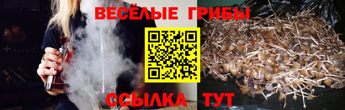 Псилоцибиновые грибы Cubensis  Вход с VPN  Новоуральск  Галлюциногенные грибы ЛСД 